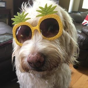 Meet your Posher, Krista